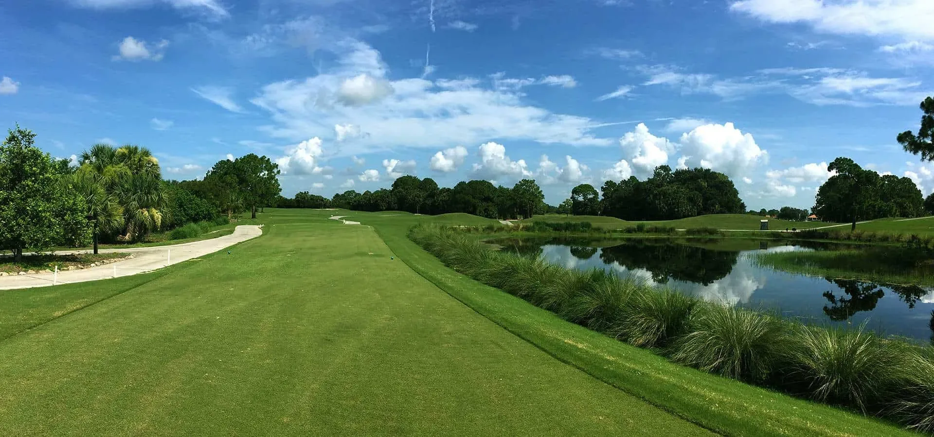 Mown fairway beside a pond with palm trees and a cart path under blue sky at Wildcat Golf Club, Houston