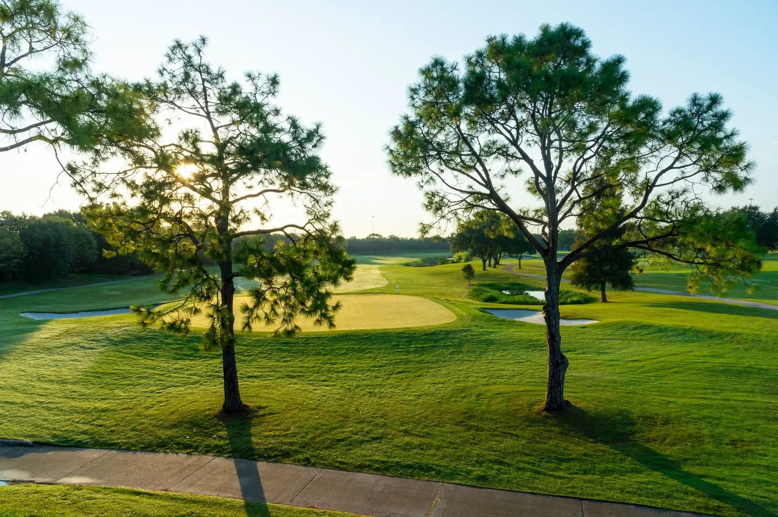 Low sun through two pine trees over a green and bunkers at Westwood Golf Club, Houston