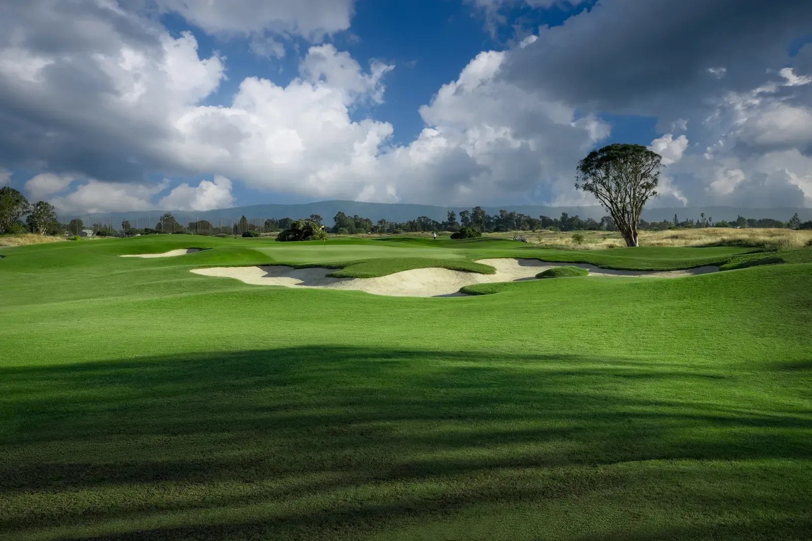 Fairway rolling toward a sand bunker and green beneath large clouds at Baylands Golf Links, Palo Alto.