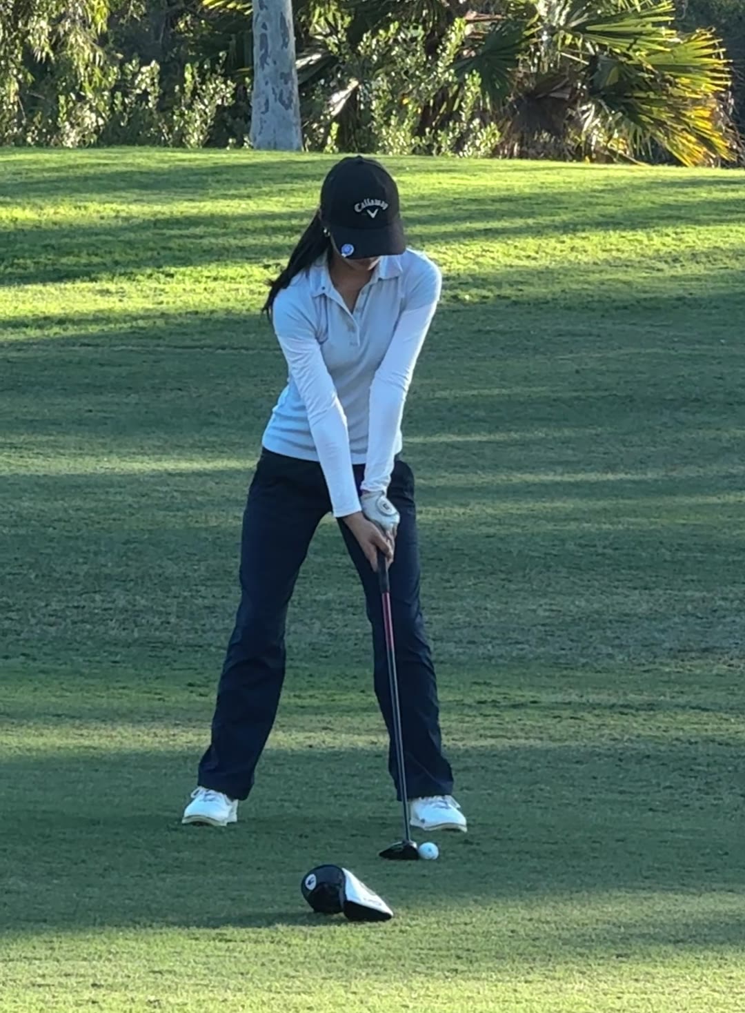 fairway wood 1