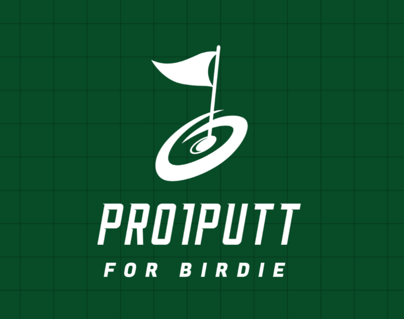 PRO1PUT UG